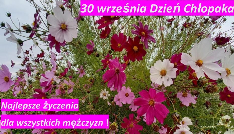 kartka z kolorowymi kwiatami i życzeniami. 30 września Dzień Chłopaka. Najlepsze życzenia dla wszystkich mężczyzn!